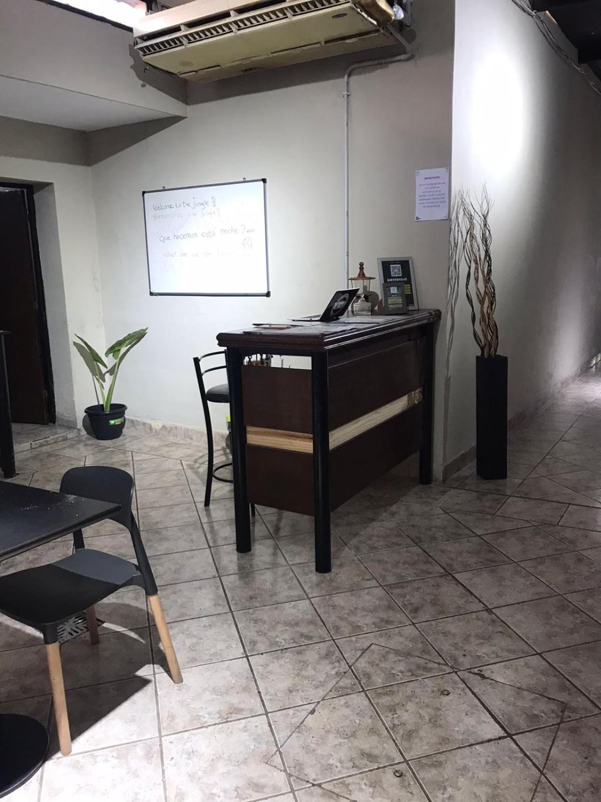 Urban Jungle Hostel San Miguel de Tucumán Dış mekan fotoğraf