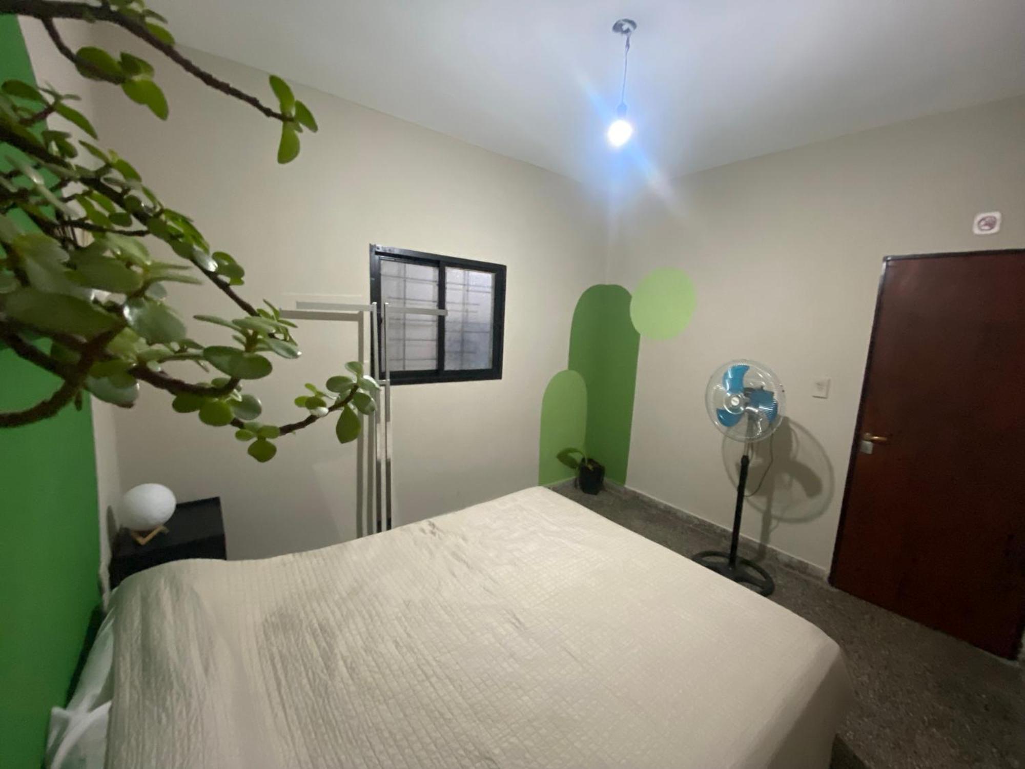 Urban Jungle Hostel San Miguel de Tucumán Dış mekan fotoğraf